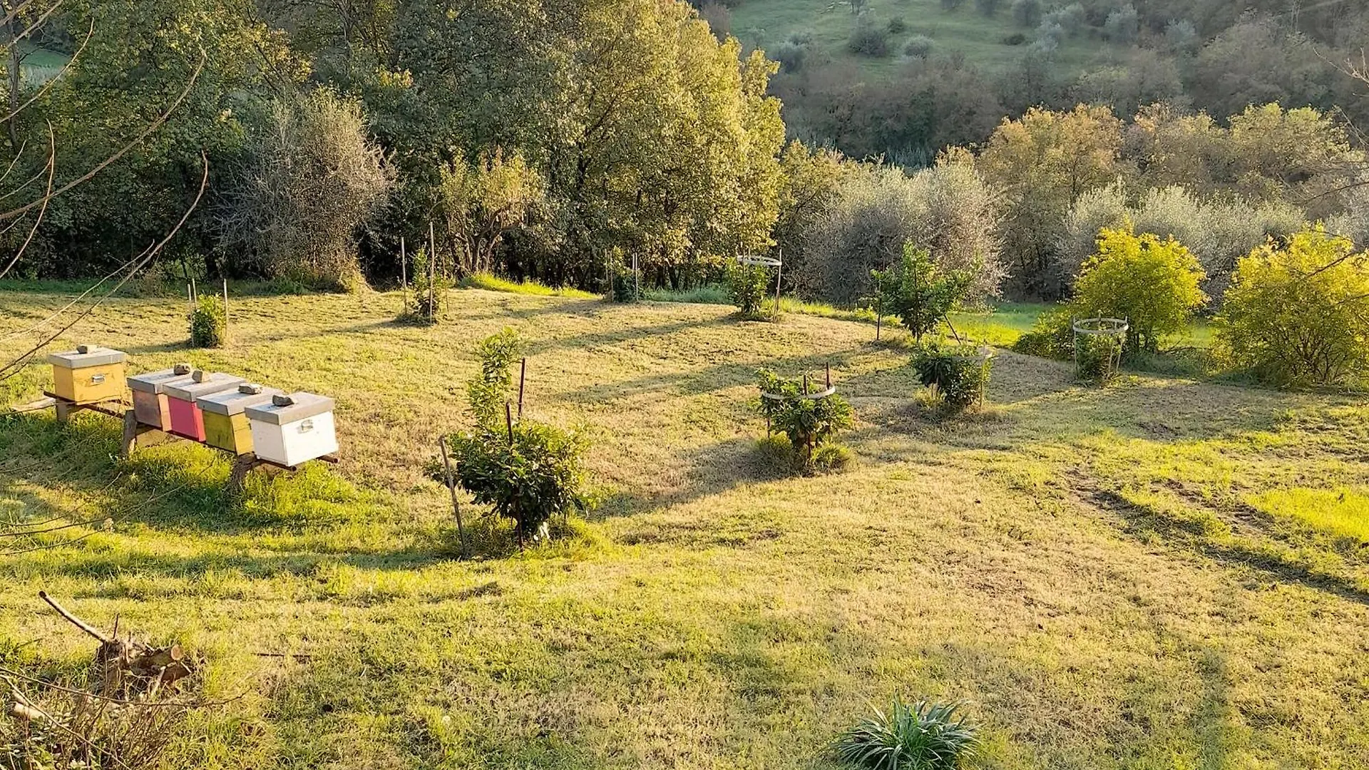 Le Corti - Agriturismo Olio E Vino Lastra a Signa 0*,