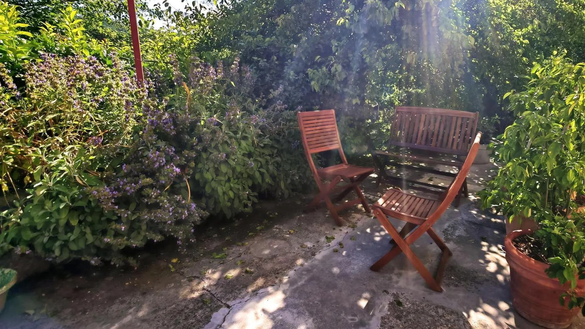 Le Corti - Agriturismo Olio E Vino Lastra a Signa İtalya